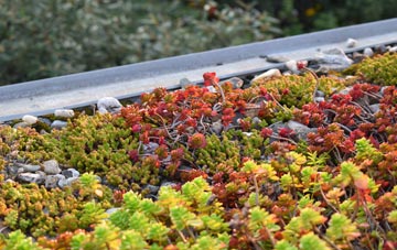 the cost of North Green green roof installation
