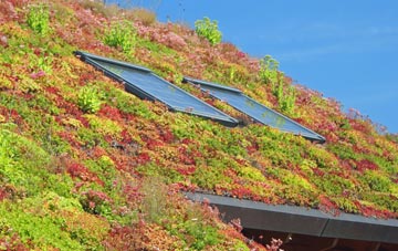 North Green living roof systems